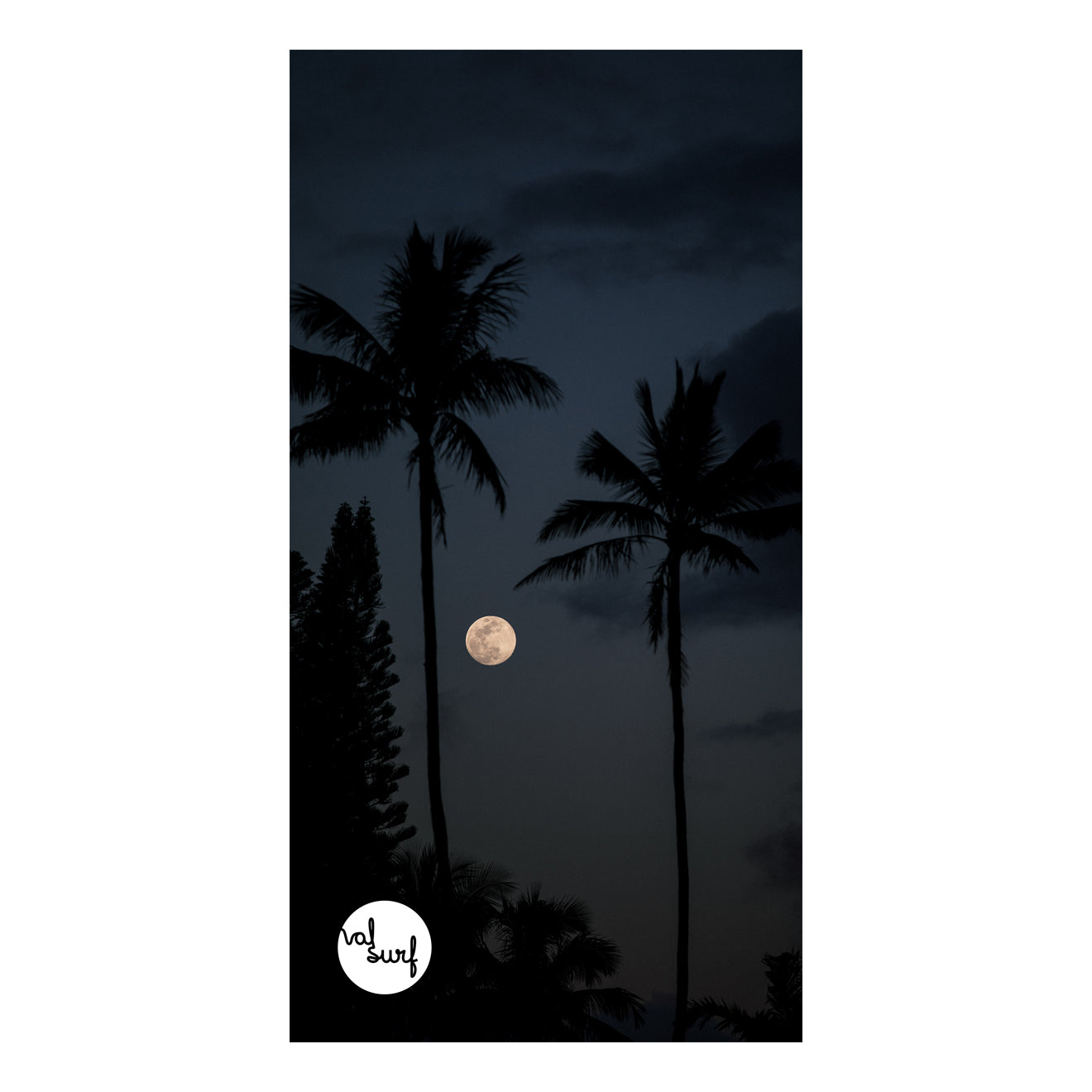 Palm Trees Moon Towel