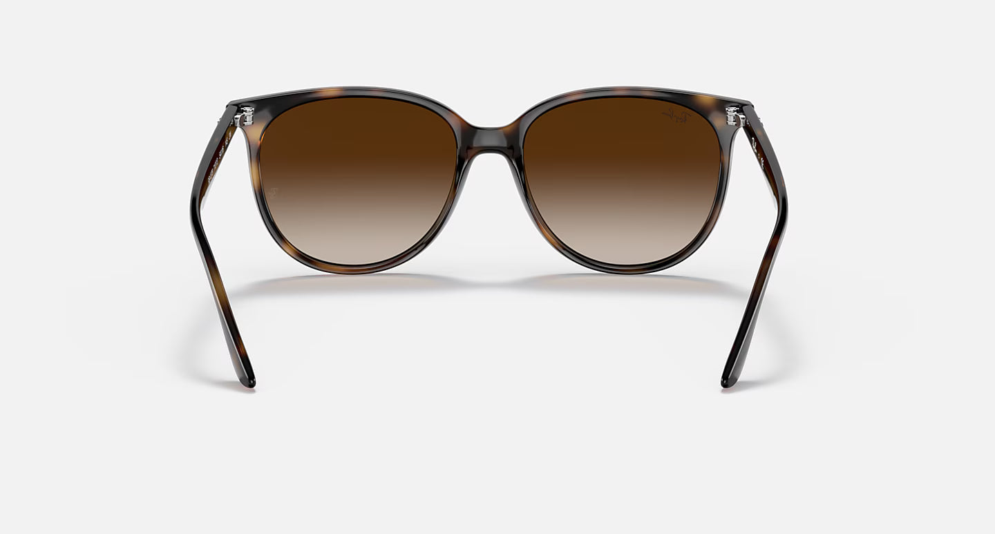 RB4378 - Havana/Gradient Brown