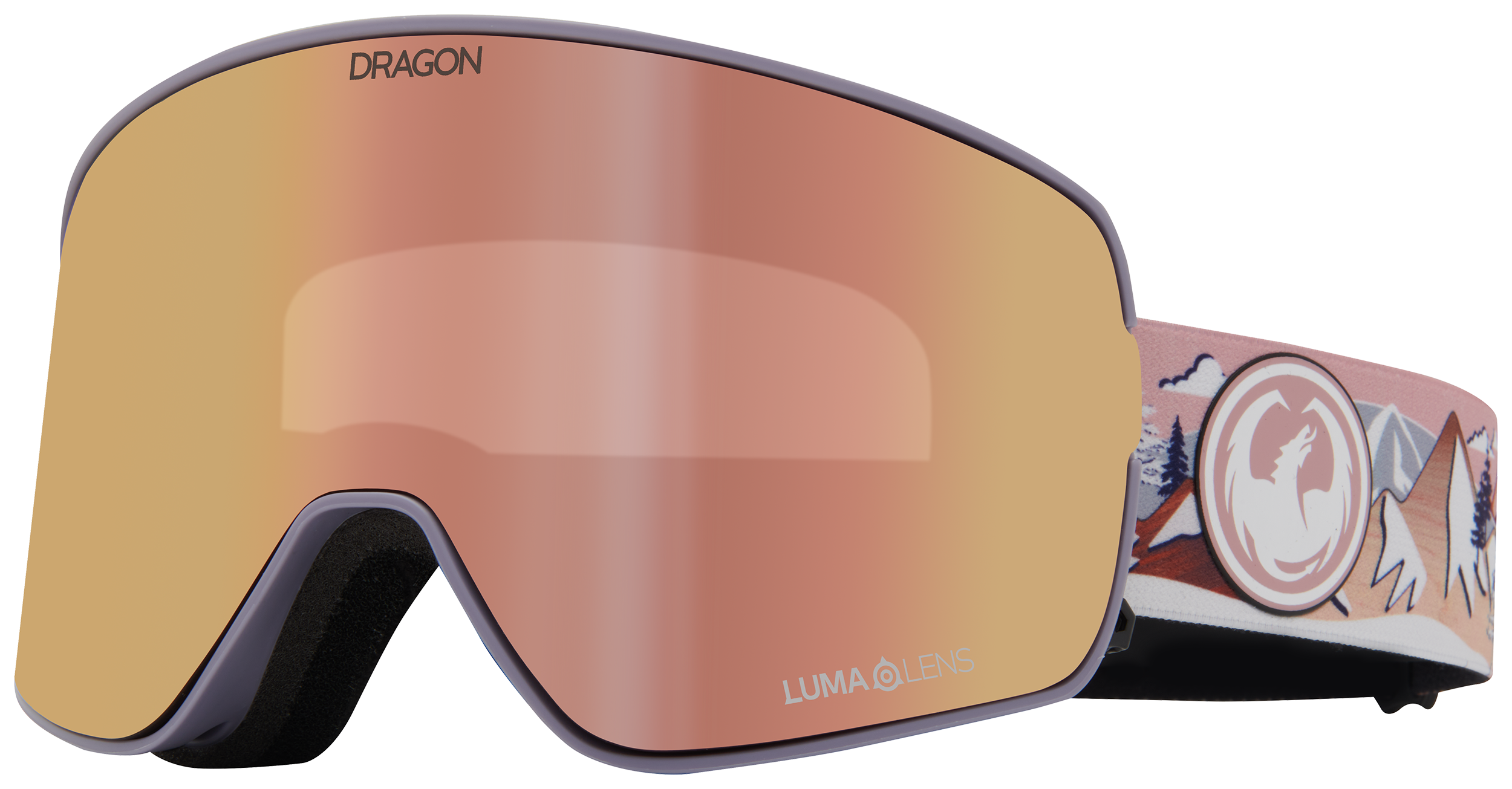 Dragon NFX2 Goggles