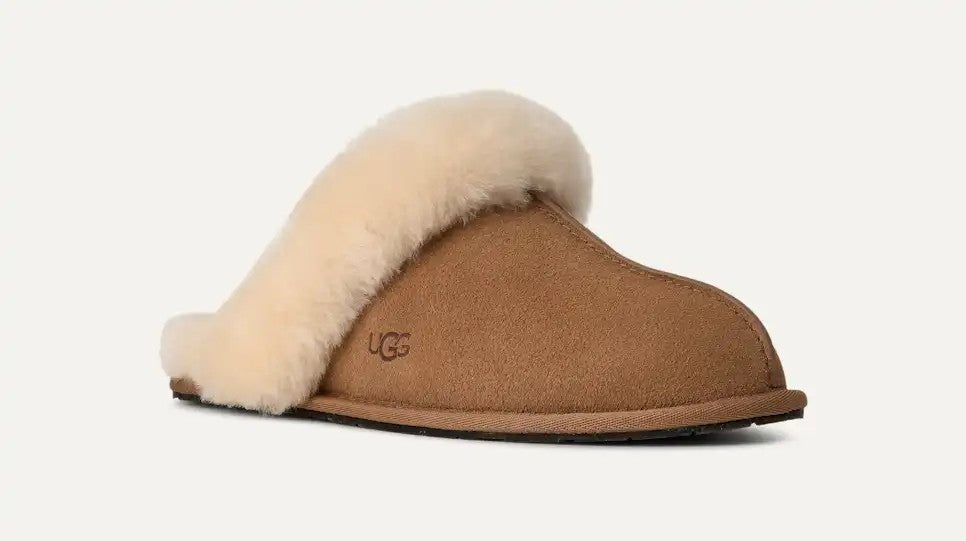 Scuffette II, Chestnut (CHE)