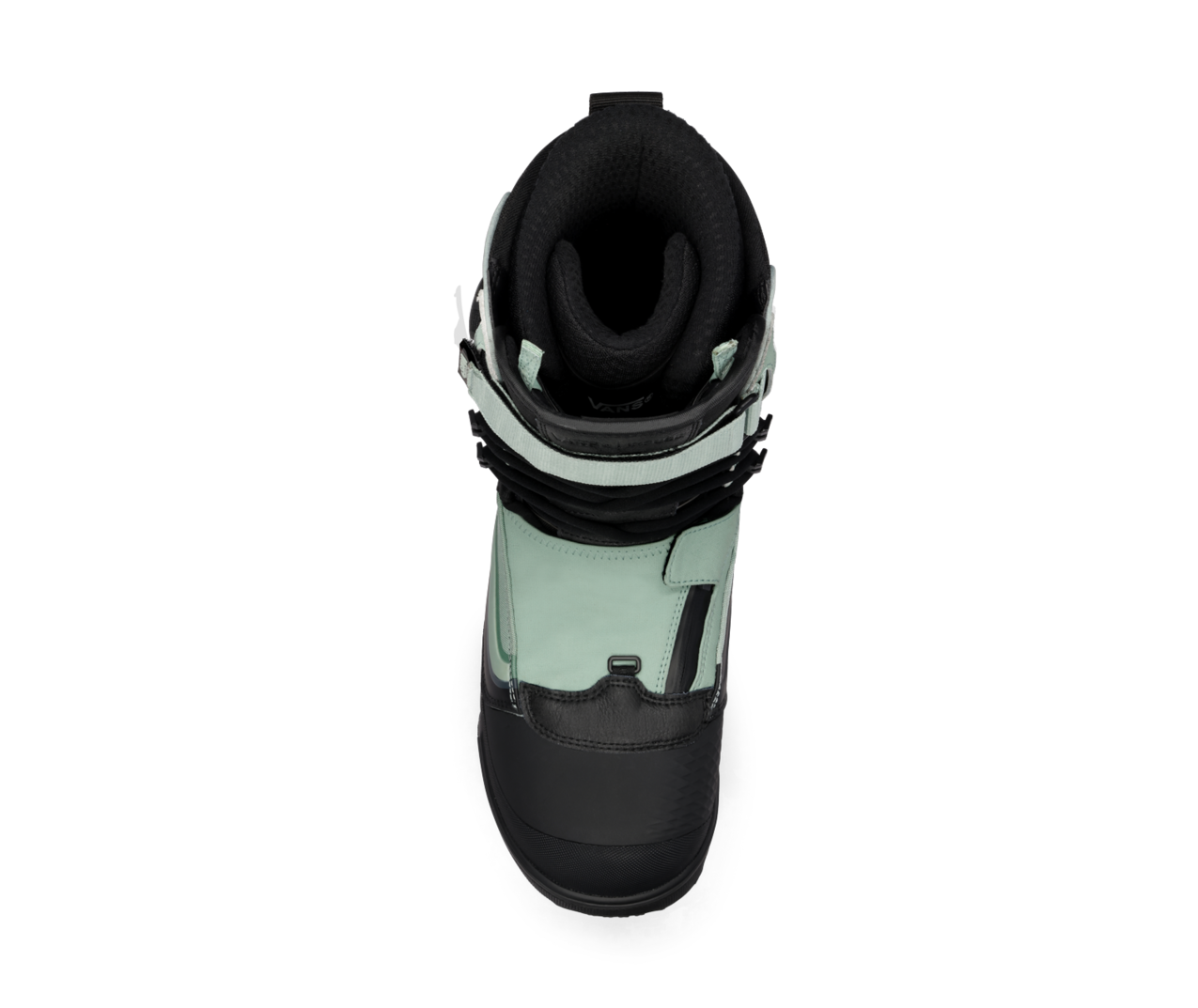 Infuse (30th Anniversary) - Gray Olive