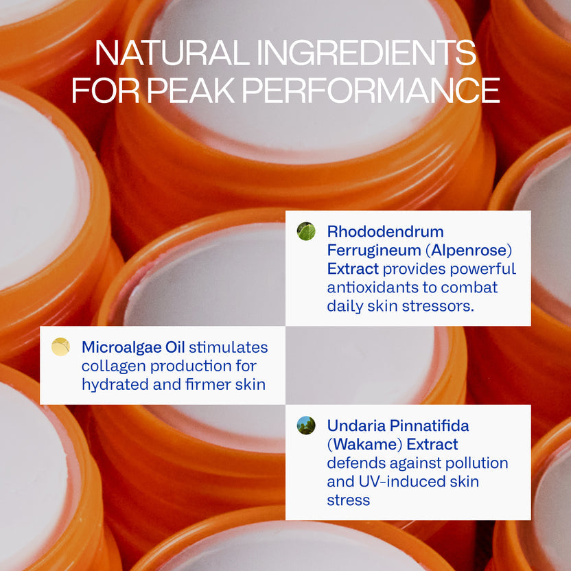 Peak Performance Sun Stick SPF 50