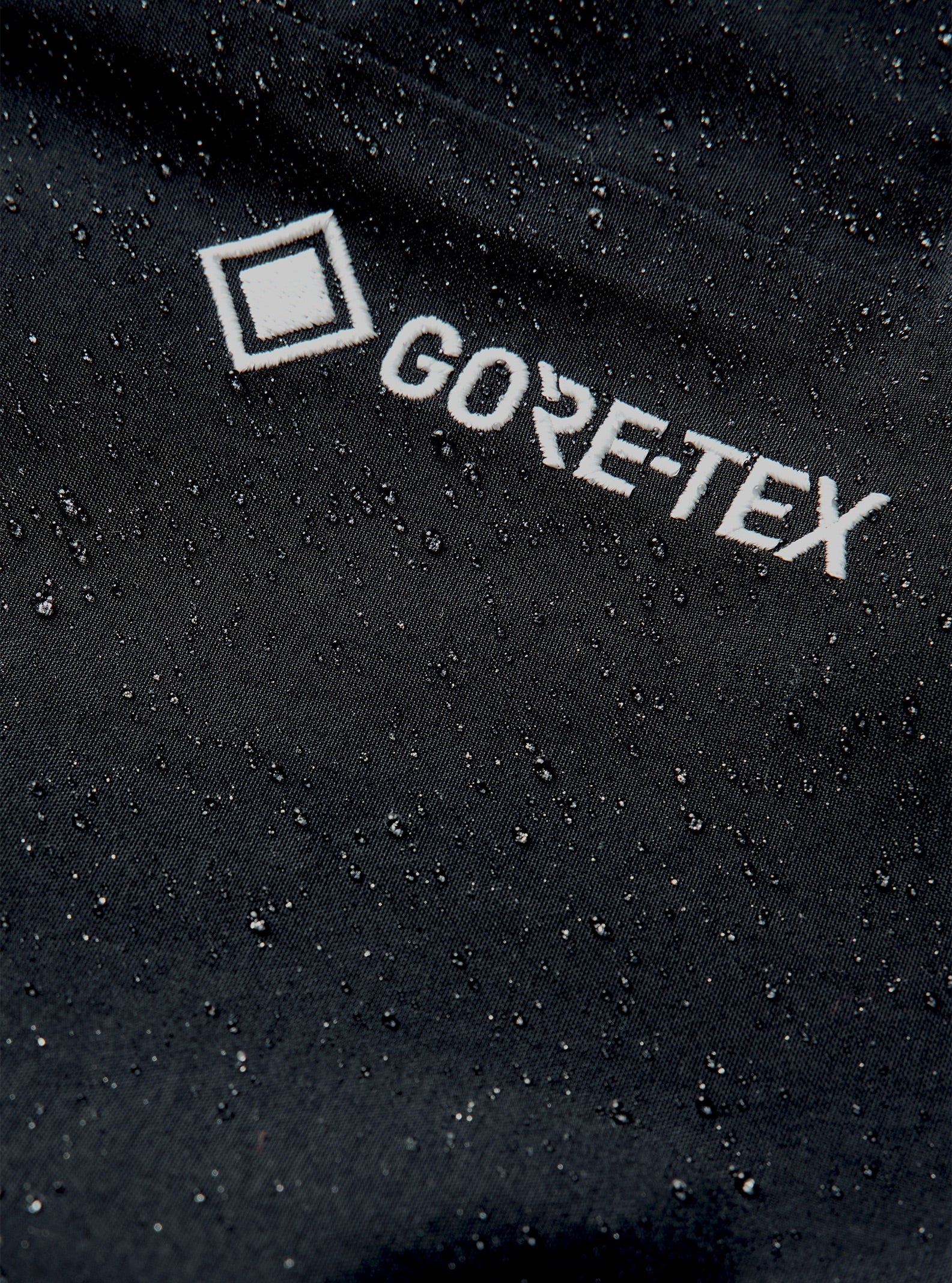 Mens [ak] Cyclic Gore-Tex 2L Pants - True Black