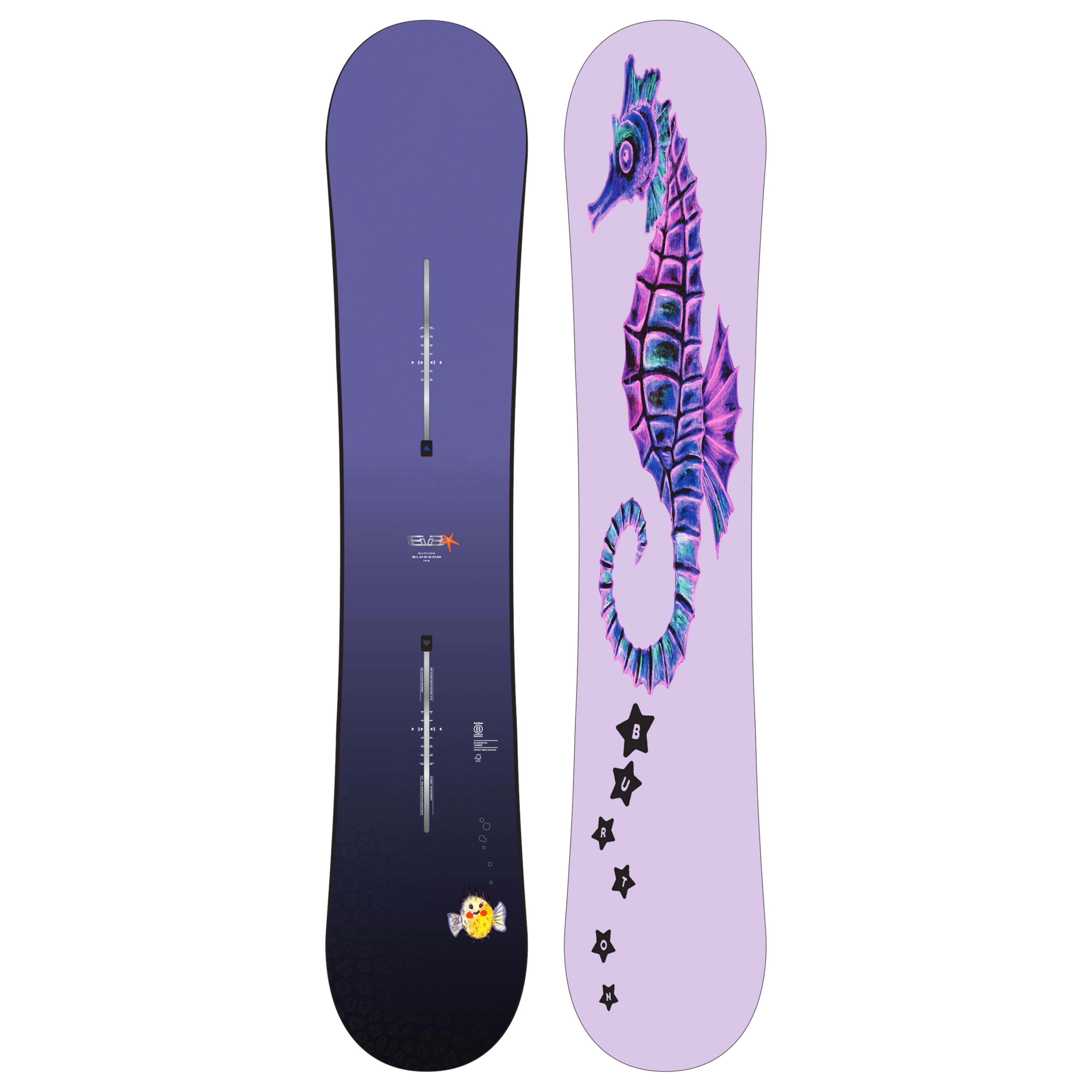 Blossom Camber Snowboard