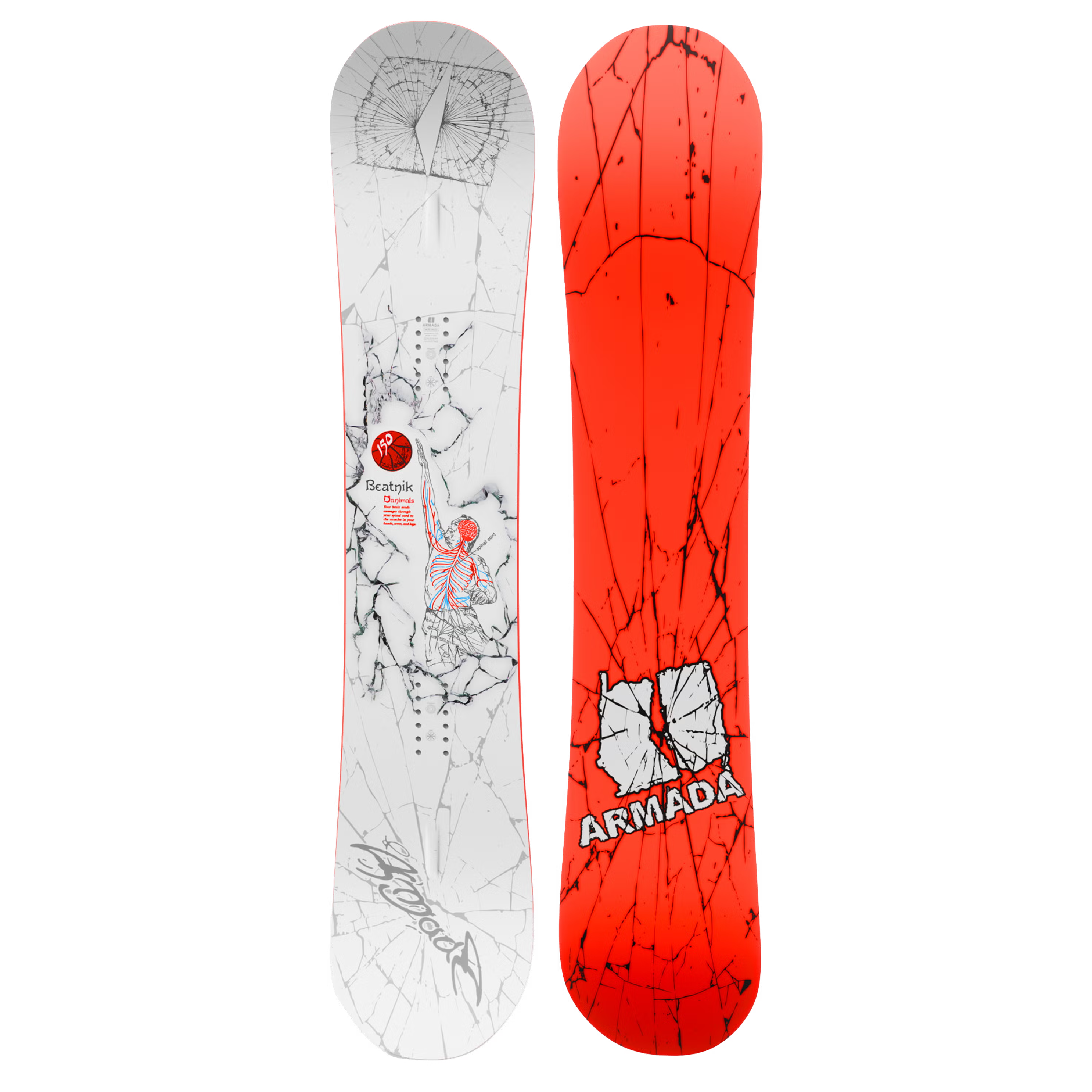 Men's Beatnik Board