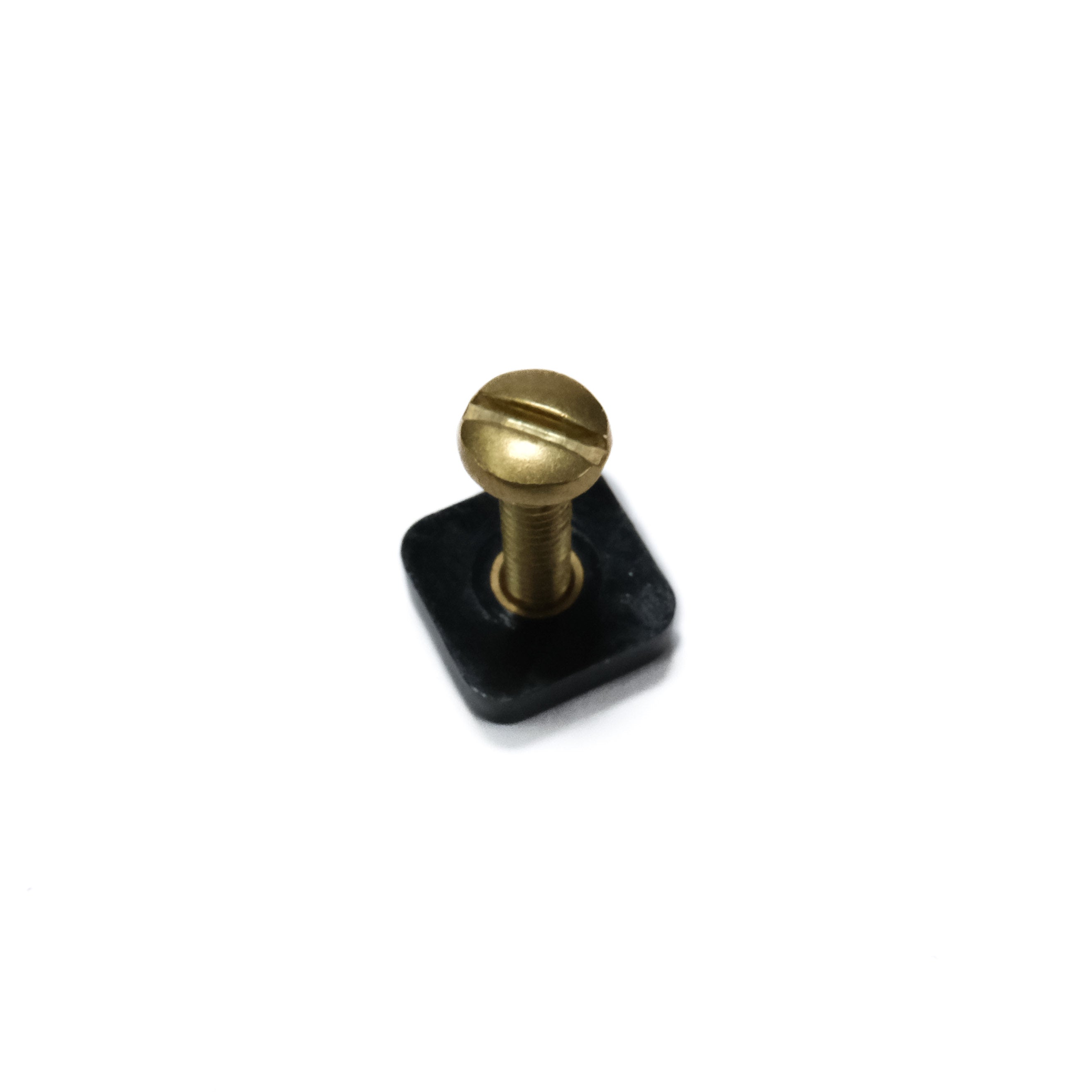 Breakaway Fin Plate/Screw