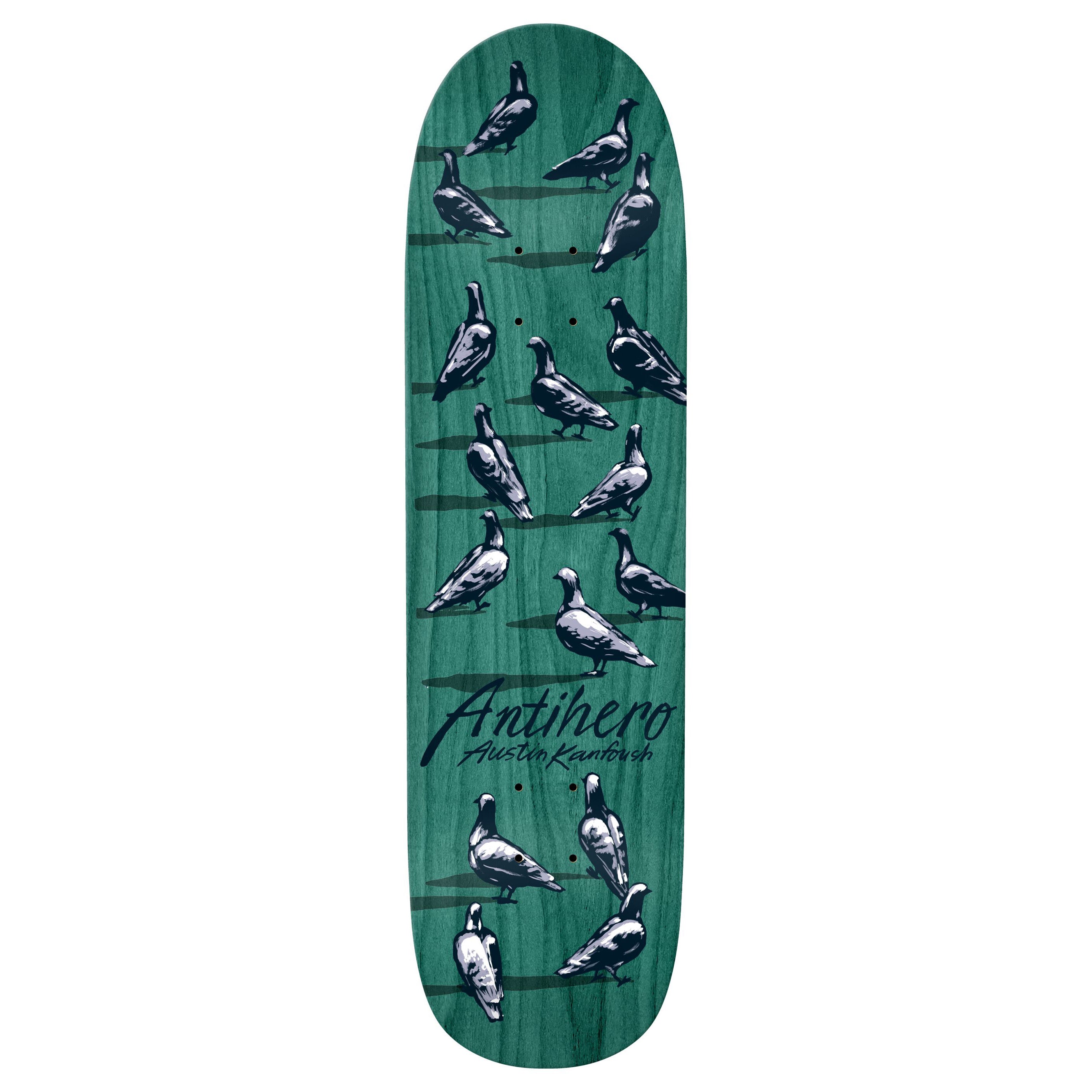 Kanfoush Dawn Pigeon - 8.55